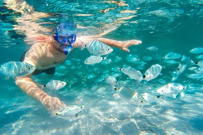 Cruise to Bonifacio and Snorkeling to the Lavezzi Islands - An In-Depth Look at the Experience