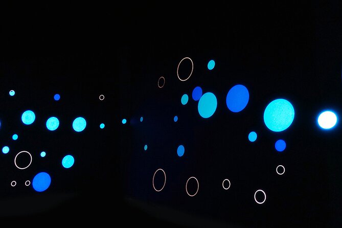 Cube of Art Uppsala Museum of Interactive Art - Is It Worth the Price? Analyzing Value
