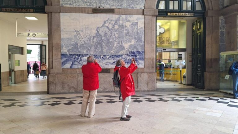 Customizable Full Day Porto Tour: Choose Your Experience