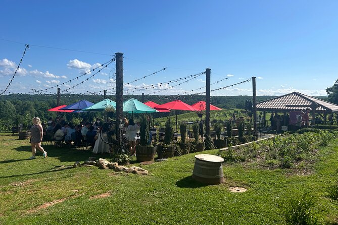 Dahlonega Wine & Dine Private Tour from Atlanta - The Itinerary in Detail
