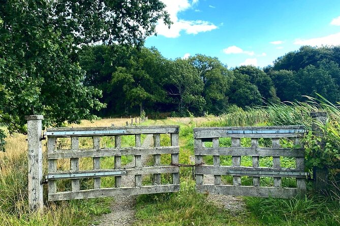 Daytrip Bike Tour on the Swedish Countryside Private - What’s Included and What’s Not