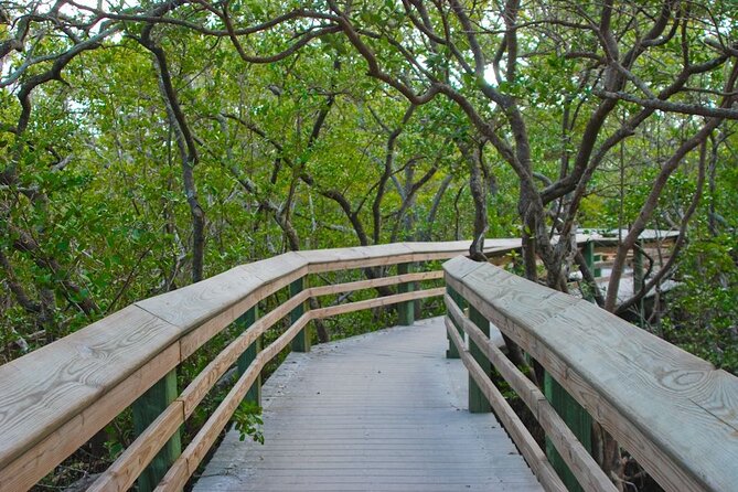 De Soto National Memorial Nature Walk Eco Tour - An In-Depth Look at the Tour