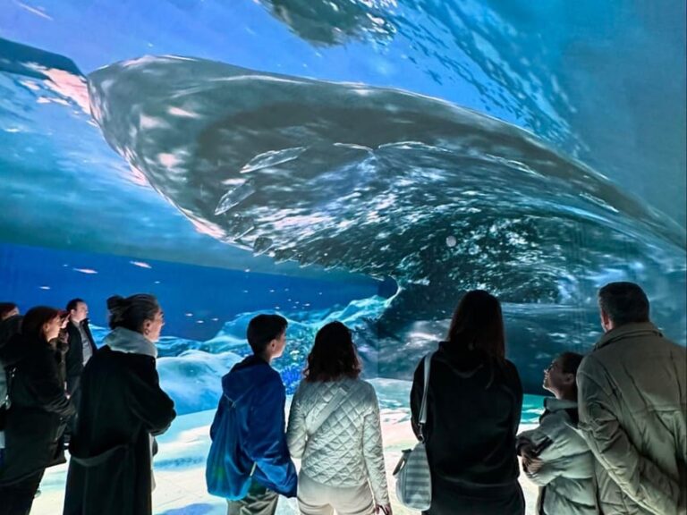 Digital Experience Museum Skip-the-Line Entry