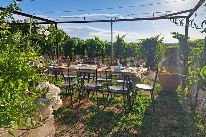 Dinner in the vineyard with wine tasting and walk - Why This Tour Works for You