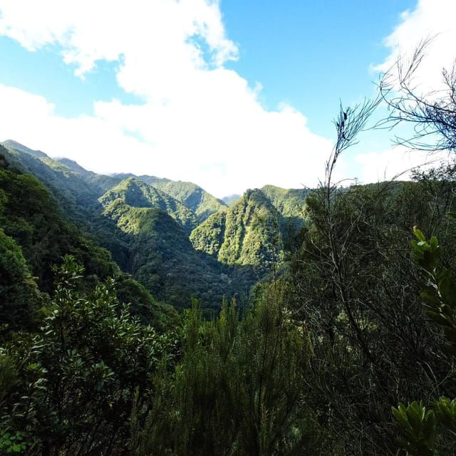 Discover one of our island’s levadas in a relaxing way?