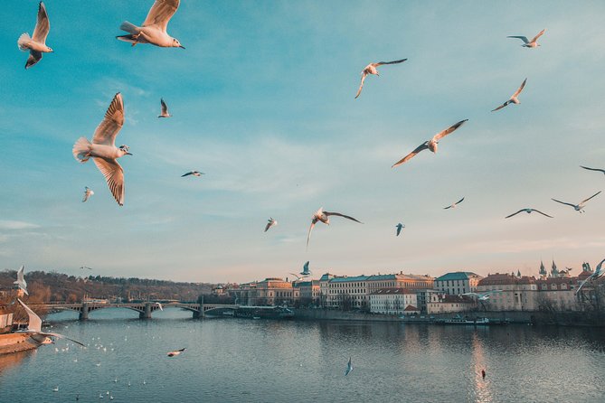 Discover Pragues most Photogenic Spots with a Local