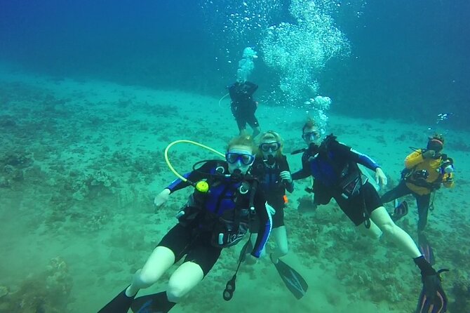 Discover Scuba Diving in Waikiki - The Actual Diving Experience
