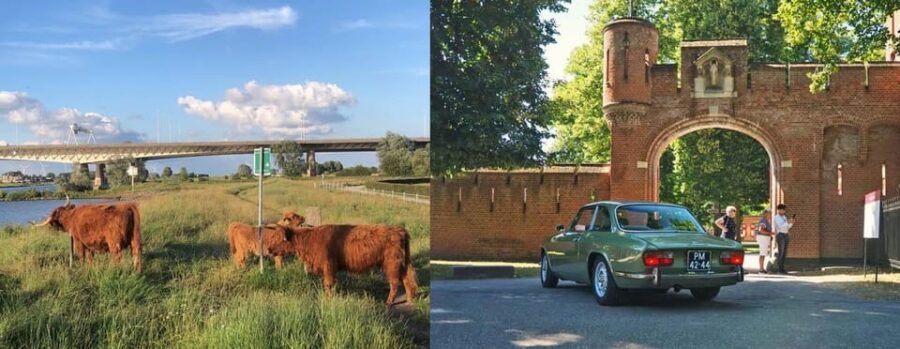 Discover the Dutch Countryside: Car Tour with Local Expert - An In-Depth Look at the Experience