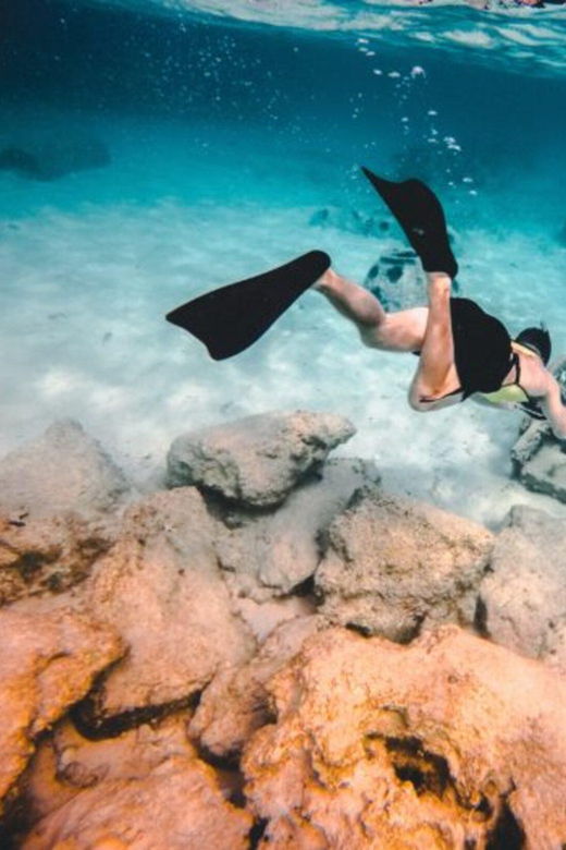 DiveSnap Underwater Sports Thrills:Lantern Point & P31 Wreck