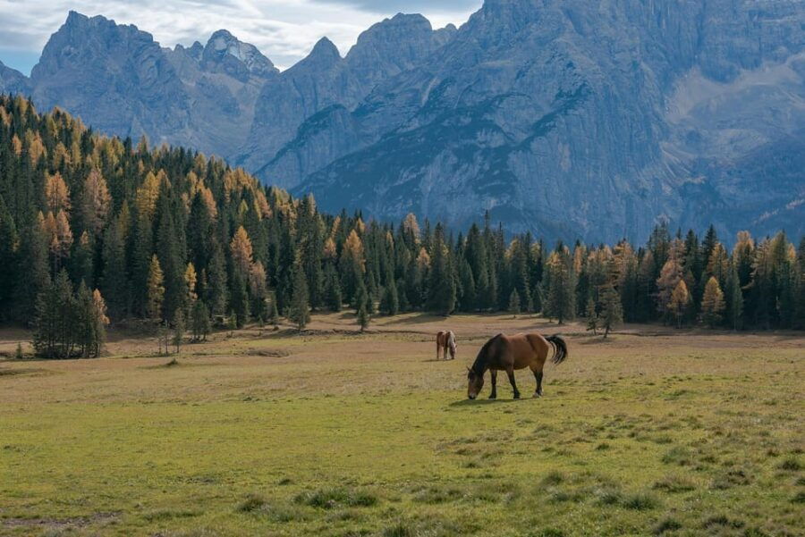 Dolomites private guided city tour - Exploring the Dolomites with a Private Guide