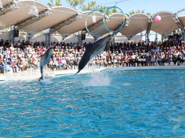 Dolphin Show Tour with Transfer from Alanya & Side
