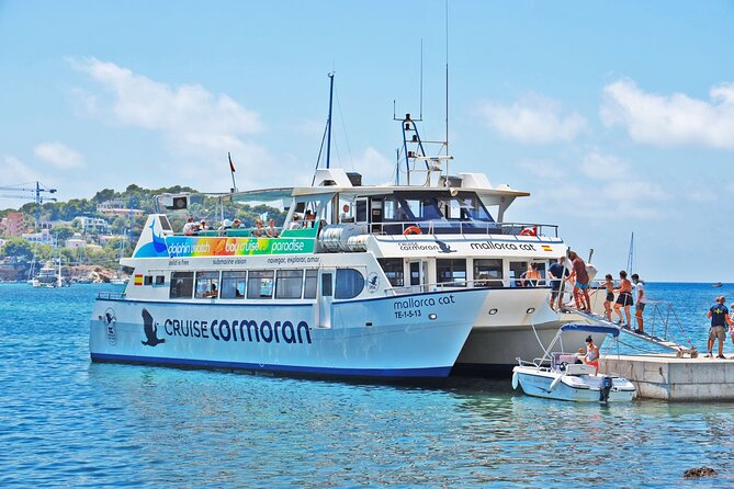 Dolphin Watching in Majorca