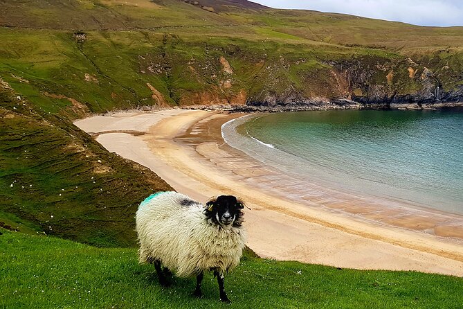 Donegal Private Tour Slieve League & Glenveagh National Park - An In-Depth Look at the Donegal Private Tour