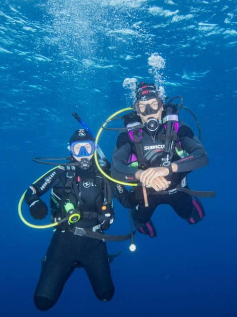Double Dive the Azores, in the middle of the Atlantic Ocean