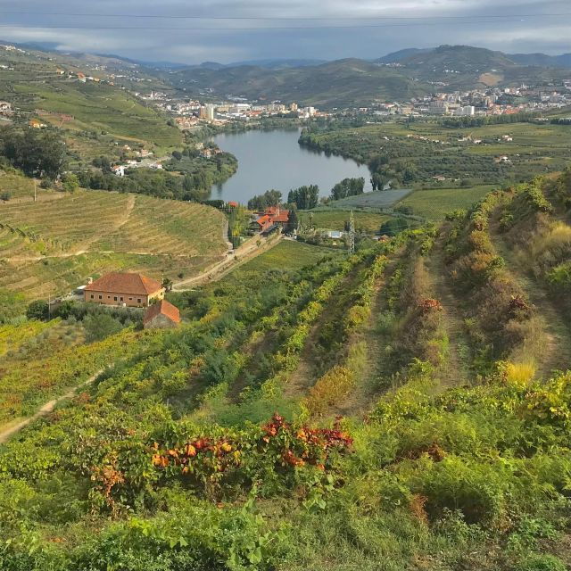 Douro – Pacheca: luxury walking with full lunch and wines
