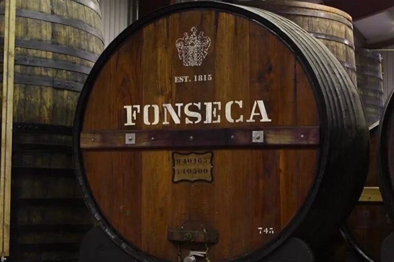 Douro: Porto vintage wine tasting in a secret wine estate