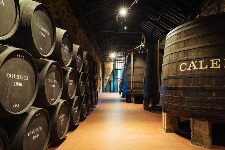 Douro River Cruise with Port Tasting and Lunch