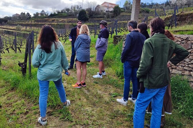 Douro Tour with Wine Tasting, River Cruise and Visit to Lamego