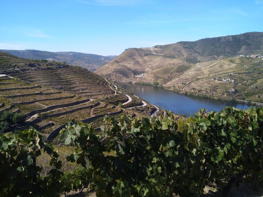 Douro Valley & Amarante - from Porto, Braga or Guimarães - Overview of the Tour Experience