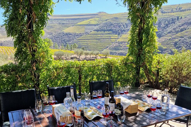 Douro Valley-Expert Guide-Boat-Lunch-Tastings Premium Service