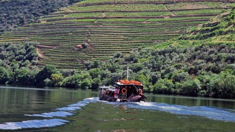 Douro Valley-Expert Guide-Boat-Lunch-Tastings PremiumService
