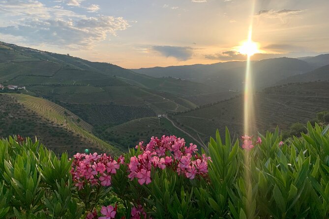Douro Valley private tour includes wine tasting and boat trip