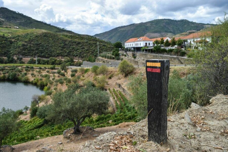 Douro Valley: Quinta do Tedo Wine Experience with Picnic - The Experience in Detail
