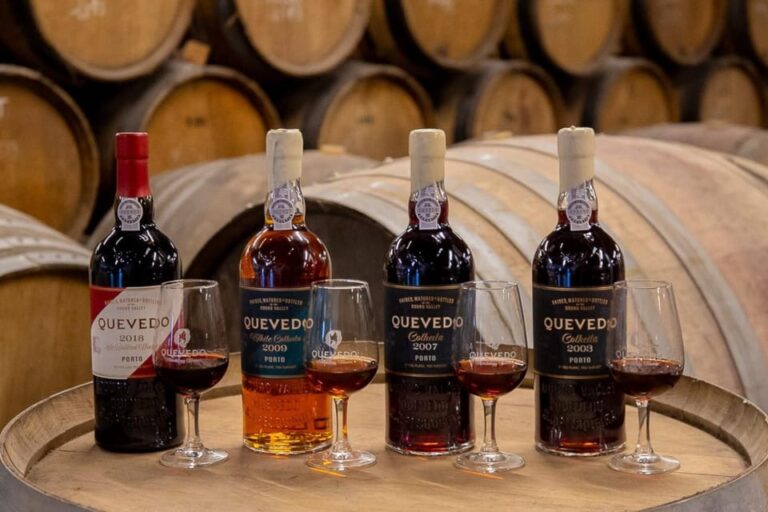 Douro Valley: Winery Visit & Premium Aged Port Wine Tasting