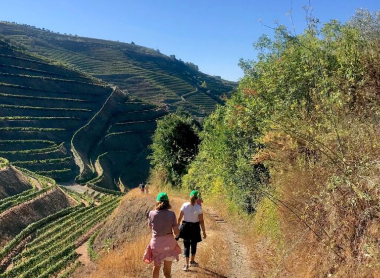 Douro – walking with full fancy lunch and premium wines