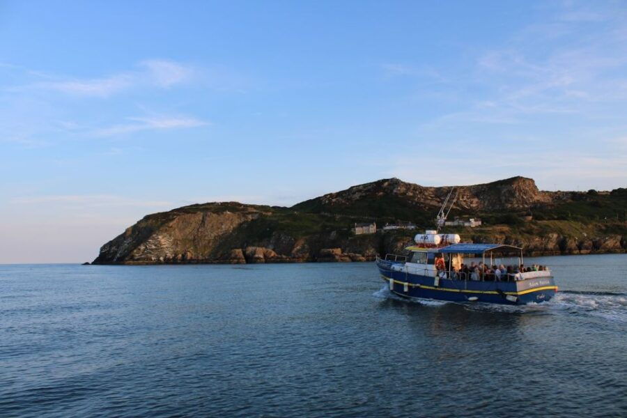 Dublin: Howth Cliffs and Lighthouse Cruise - An Inside Look at the Experience
