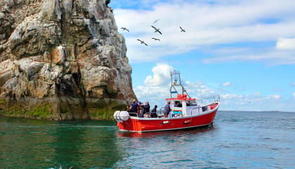 Dublin: Howth Coastal Boat Tour - Good To Know
