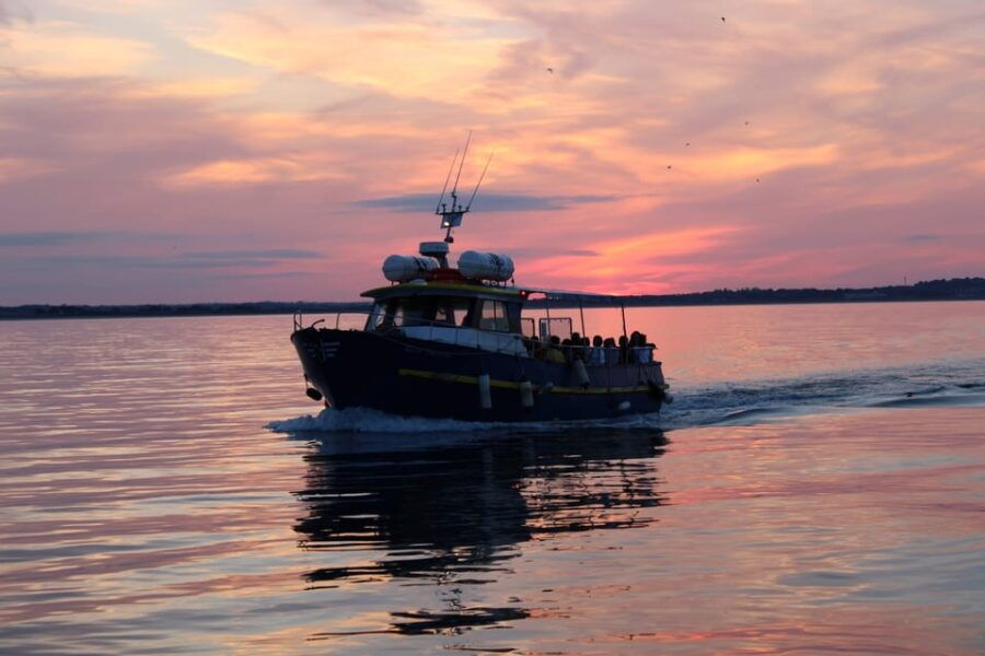 Dublin: Sunset Cruise in Howth - What to Expect from the Sunset Cruise