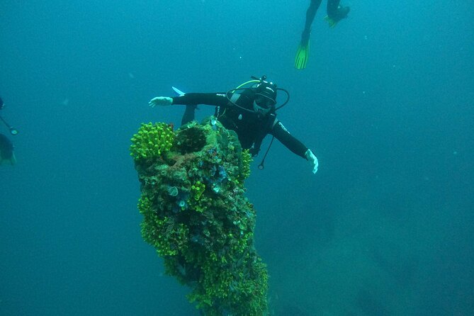 Dubrovnik 1 Dive for Certified Divers