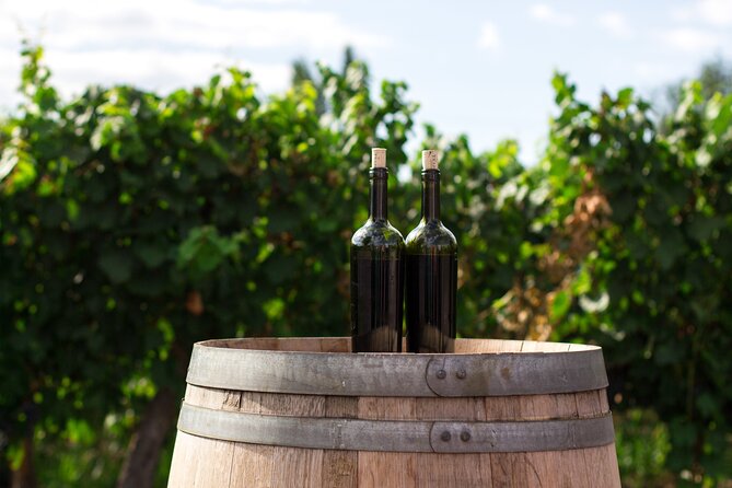 Dubrovnik Private Walking Tour and Wine