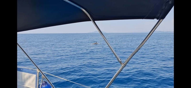 Dubrovnik yacht cruise - Private tour to Elafity & Blue cave - What Makes This Tour Stand Out