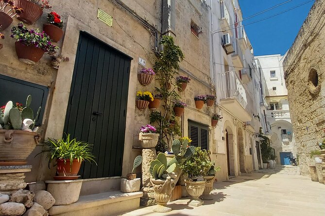 e-Bike tour from Monopoli to the rocky village of S. Andrea - Practicalities & What You Need to Know