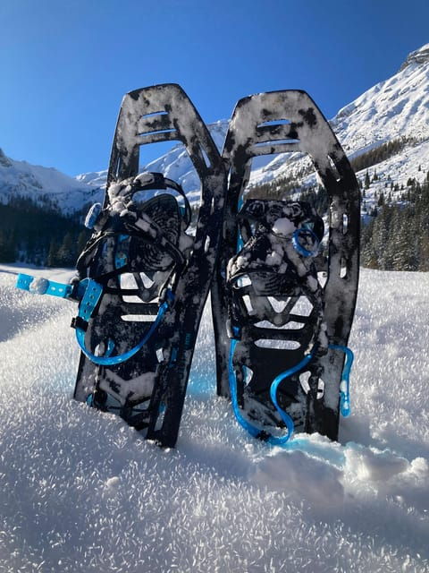 Ehrwald: Zugspitze Snowshoe Hiking Tour with Mountain Views