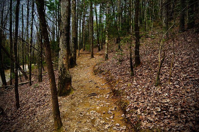 Elijay Hike w/ Waterfall & Wine Tasting Private Tour from ATL - An In-Depth Look at the Tour Experience