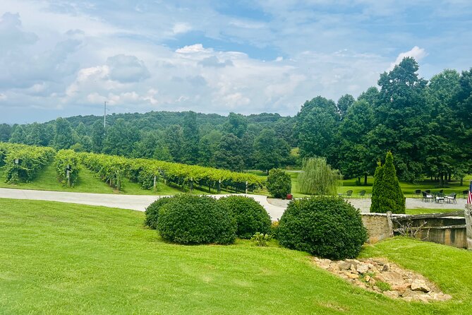 Elijay Three Vineyards Private Wine Tasting Tour from Atlanta - What to Expect from the Elijay Three Vineyards Tour