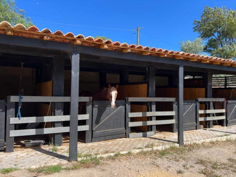 Equestrian Tourism – Experience
