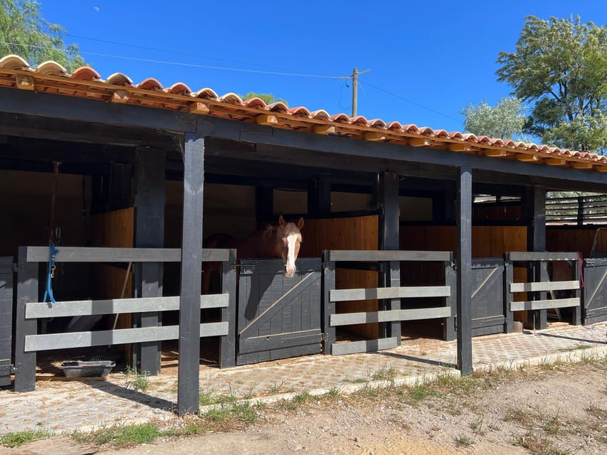 Equestrian Tourism - Experience - The Value of the Experience