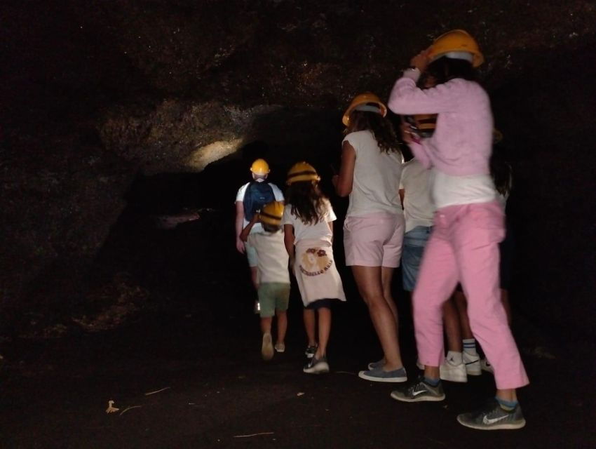 Etna Morning Tour: an adventurous journey to discover Etna. - Overview and What to Expect