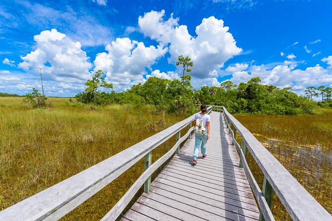 Everglades National Park Self-Guided Audio Tour - Exploring the Everglades: A Detailed Walkthrough