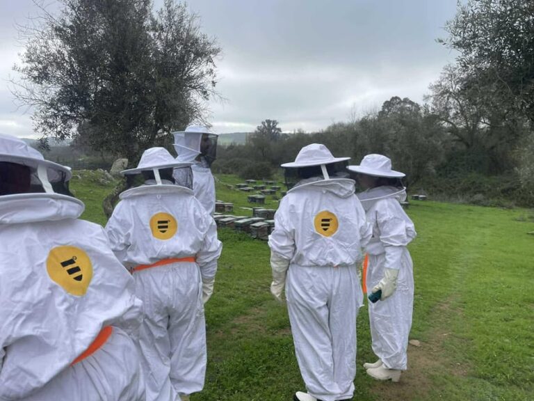 Évora or Montemor: Beekeeping, Chocolate factory, Wine tasting