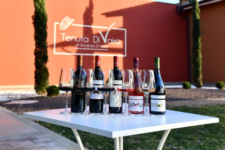 Exclusive Bolgheri Full-Day Wine Tour from Florence