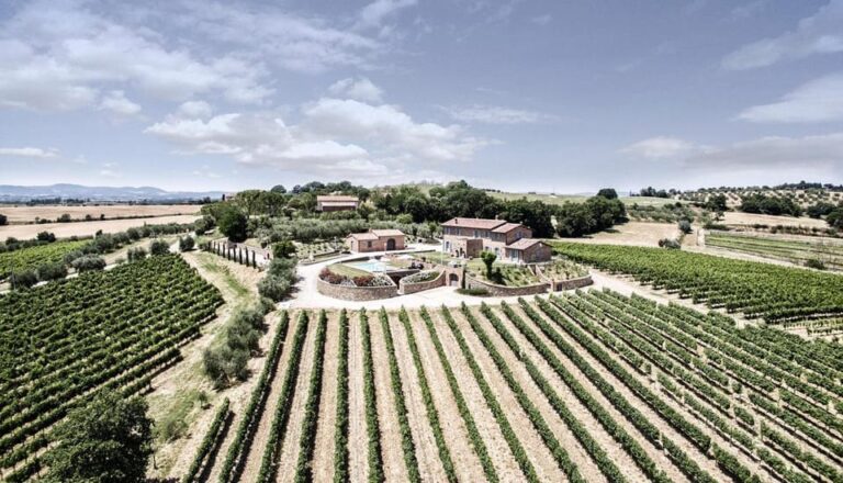 Exclusive Cortona Tour, Land of Tuscan Syrah