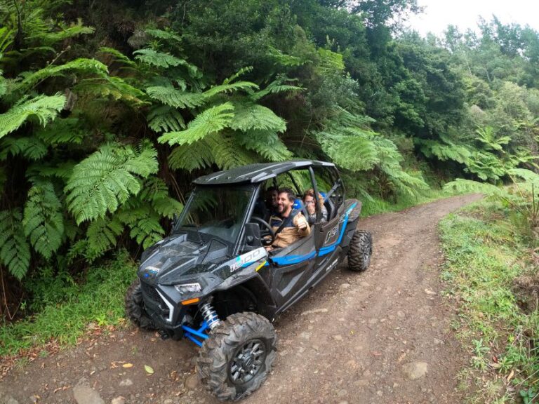 Exclusive Private Buggy Adventure: Forest and Mountains