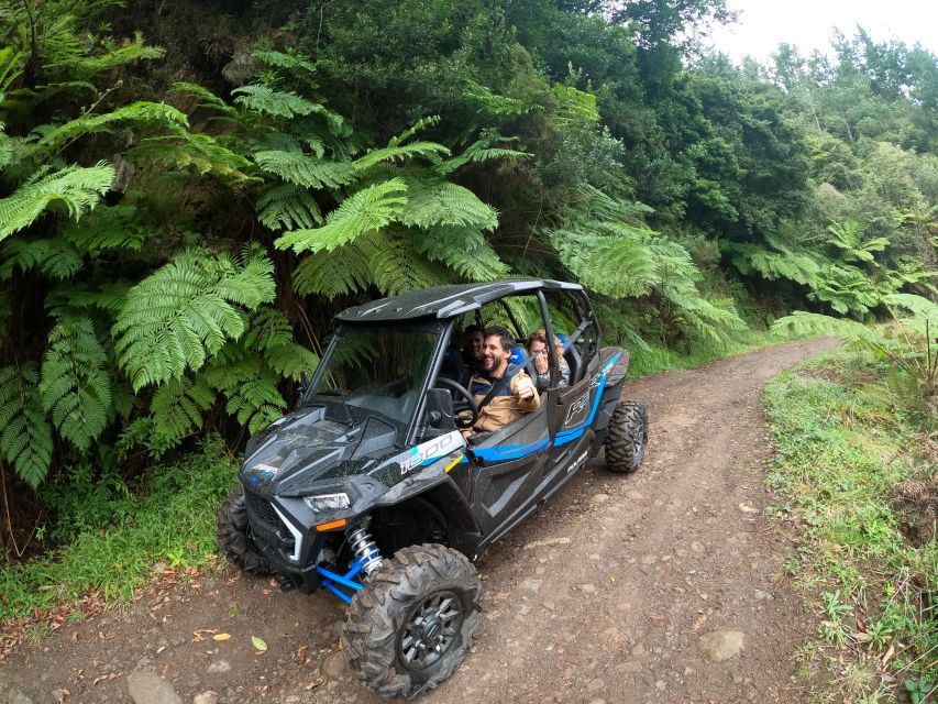 Exclusive Private Buggy Adventure: Forest and Mountains - A Deep Dive into the Adventure