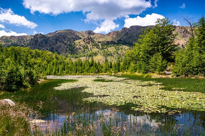 Exclusive Qafshtama National Park Hiking Tour With Private Transfer - An In-Depth Look at the Qafshtama National Park Hiking Experience