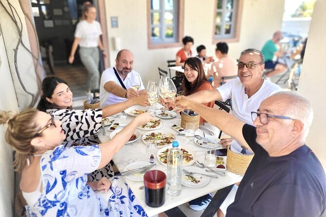 Exclusive Santorini Private Wine Tasting & Greek Lunch Experience